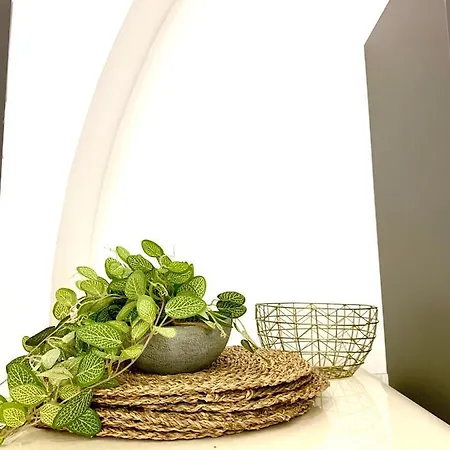 Nice Downtown Loft Roma